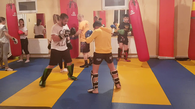 PRINCE GYM K-1 Sala MMA Sector 6, Bucuresti. Instructor K1, Kickboxing - <nil>