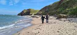Magdalene Fields  Beach'in fotoğrafı doğal alan içinde bulunmaktadır