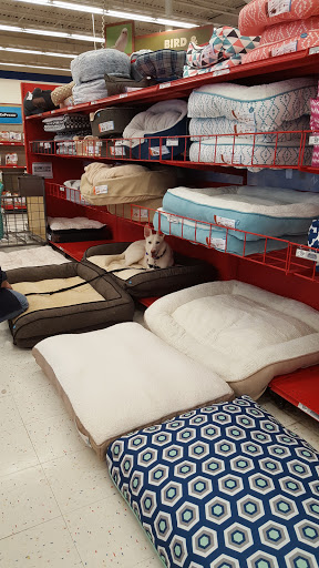 Pet Supply Store «Petco Animal Supplies», reviews and photos, 25 Hazard Ave, Enfield, CT 06082, USA