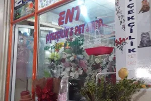 ENT Çiçekçilik ve Petshop image