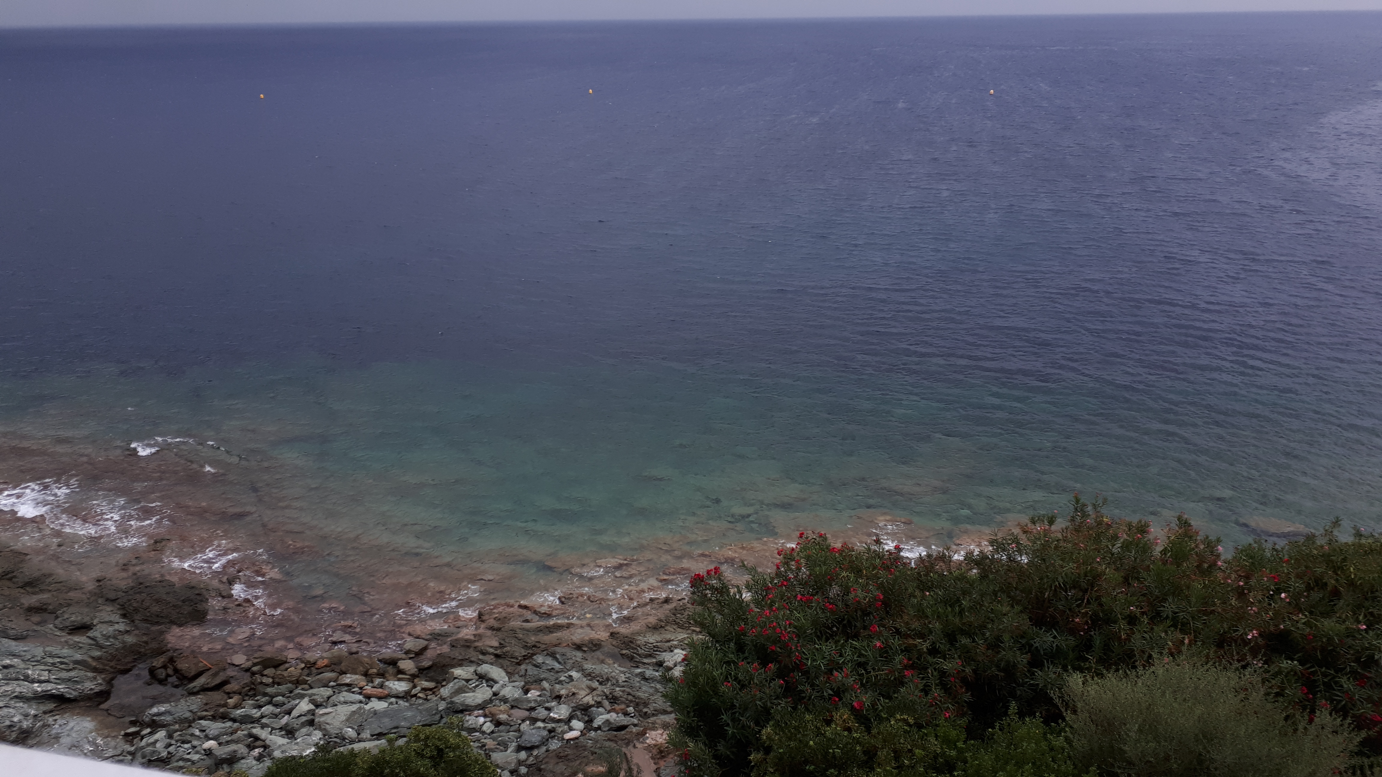 Photo n° 2 de l'avis de Pascale. fait le 28/08/2019 à 20:23