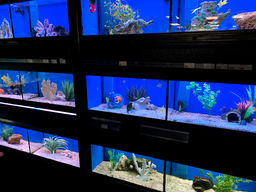 Pet Store «Wet Pets N Critters», reviews and photos, 103 TX-281 Loop, Longview, TX 75605, USA