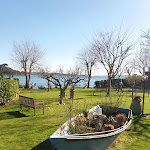 Photo n°4 de l'avis de Paolo.a fait le 16/02/2020 à 09:12 sur le  Il Porticciolo à Trevignano Romano