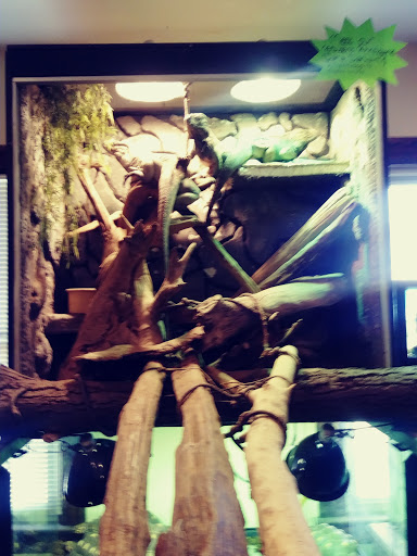 Reptile Store «Pets & Things», reviews and photos, 44825 Van Dyke, Utica, MI 48317, USA