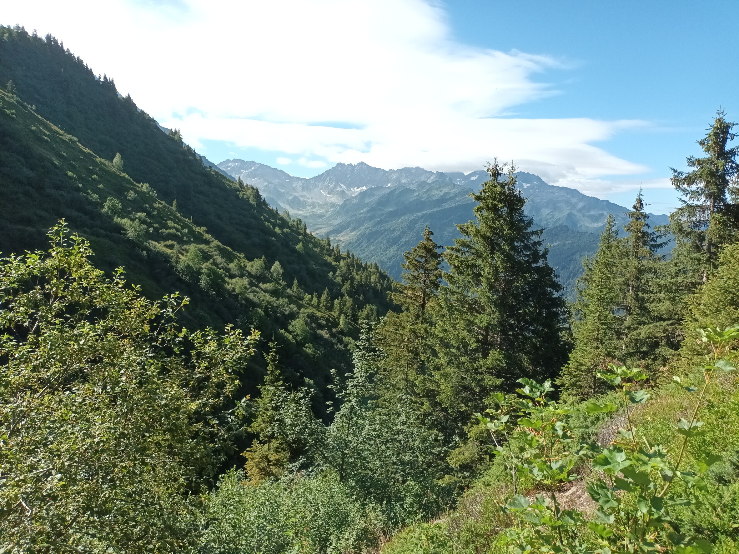 Photo n° 15 de l'avis de Laurent.a fait le 03/08/2023 à 05:45