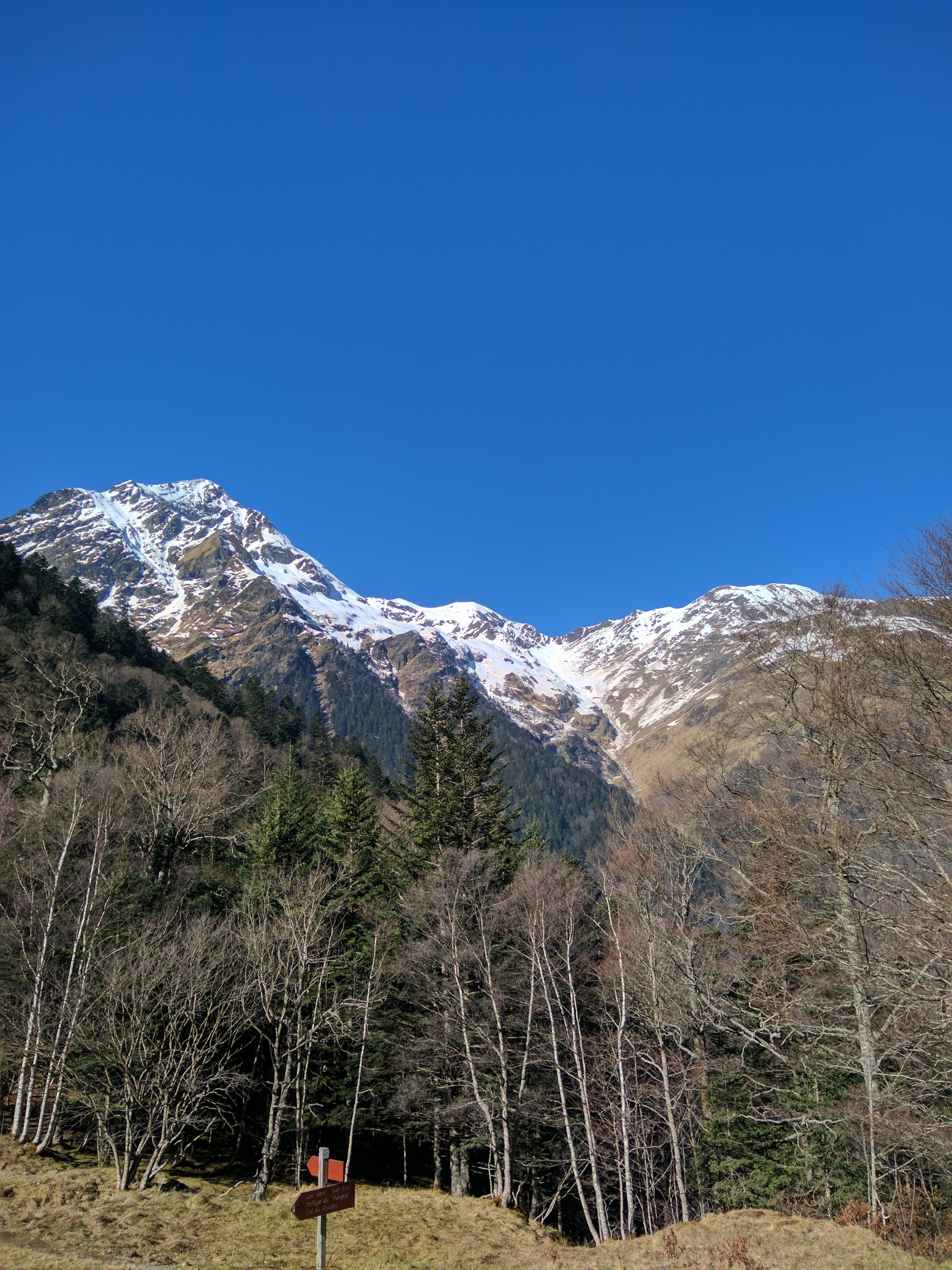 Photo n° 1 de l'avis de Klainer.n fait le 03/03/2021 à 11:07