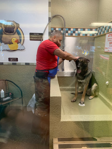 Pet Store «Cookies Pet Corner & Wash», reviews and photos, 1010 Bethel Ave, Port Orchard, WA 98366, USA