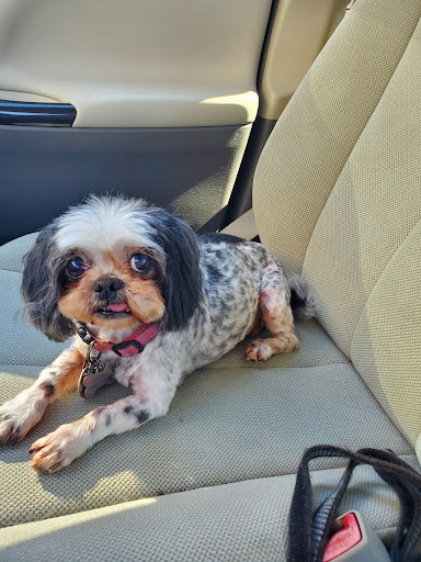 Mutz & Kutz Grooming