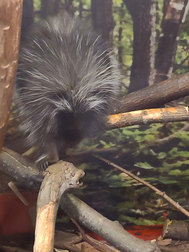 Science Museum «MOST Syracuse (Museum of Science & Technology)», reviews and photos, 500 S Franklin St, Syracuse, NY 13202, USA