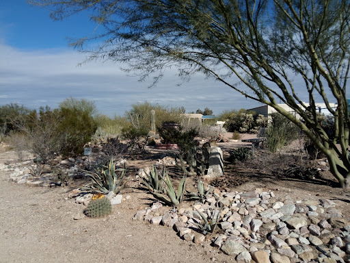 Pima Prickly Park