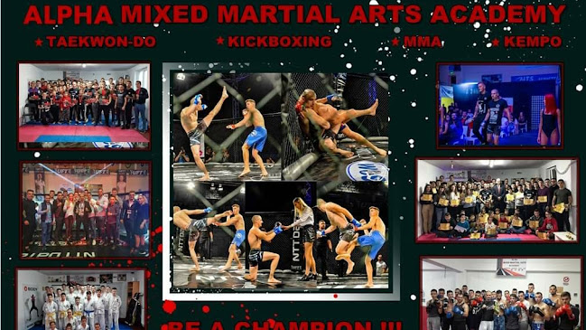 Opinii despre ALPHA MMA Academy Baia Mare în <nil> - Școală