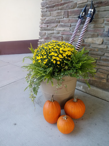 Water Park «Soaring Eagle Waterpark and Hotel», reviews and photos, 5665 E Pickard Rd, Mt Pleasant, MI 48858, USA