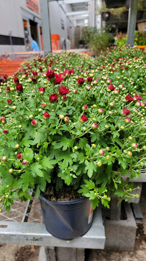 Home Improvement Store «The Home Depot», reviews and photos, 15740 Shady Grove Rd, Gaithersburg, MD 20877, USA