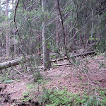Photo n°4 de l'avis de Patrizia.f fait le 25/07/2020 à 16:42 sur le  Bacherhütte à Maranza