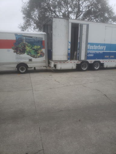 Moving and Storage Service «Ace Relocations Systems, Inc.», reviews and photos, 2507 Investors Row #400, Orlando, FL 32837, USA