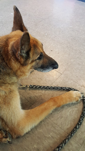 3630 SE Military Dr #100, San Antonio, TX 78223, USA