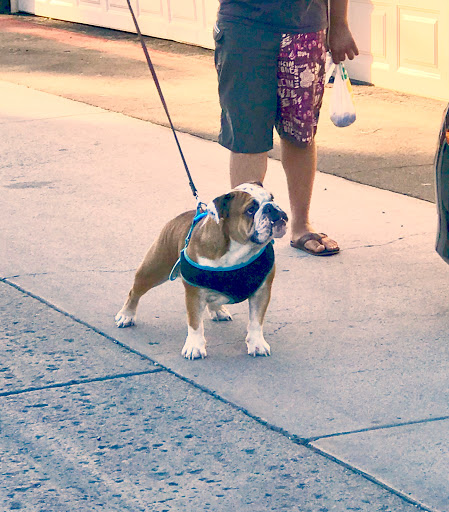 Tattoo Shop «Pare Eddie Tattoo & Piercing Salon», reviews and photos, 14181 Newport Ave e, Tustin, CA 92780, USA