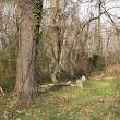 Thompson Family Cemetery