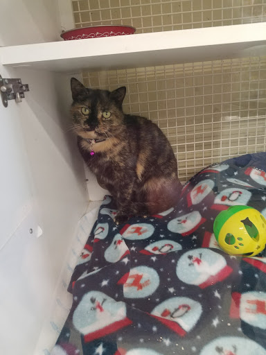 Pet Supply Store «Petco Animal Supplies», reviews and photos, 1419 Towne Square Blvd NW, Roanoke, VA 24019, USA