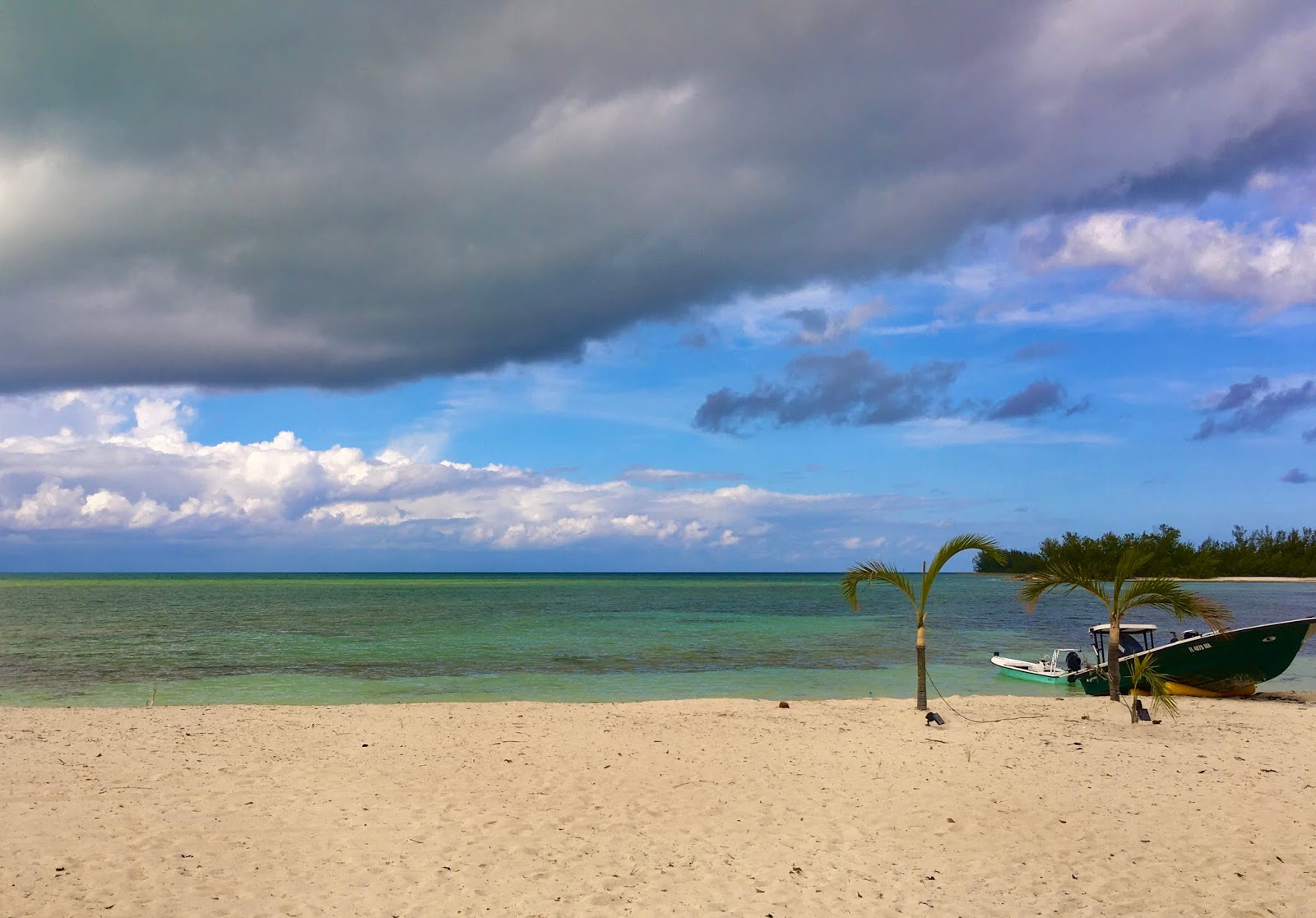 Foto di Nicholls Town beach II con abbastanza pulita livello di pulizia