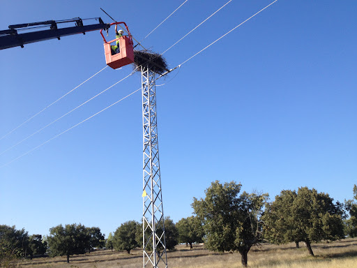 Electricidad Madruga SL en Ciudad Rodrigo, Salamanca