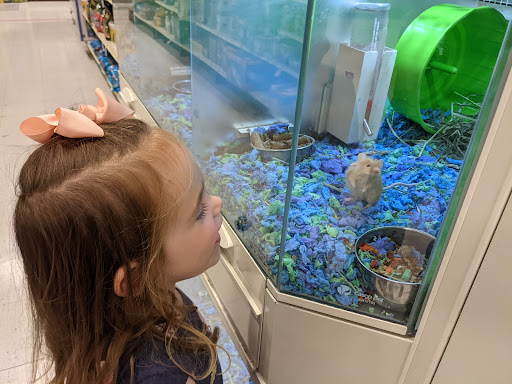 Pet Supply Store «PetSmart», reviews and photos, 406 Balltown Rd, Schenectady, NY 12304, USA