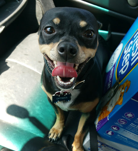 Pet Supply Store «PetSmart», reviews and photos, 860 NE Mall Blvd, Hurst, TX 76053, USA