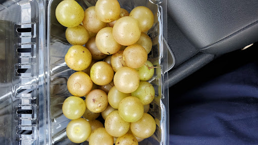 Supermarket «ALDI», reviews and photos, 2715 Peters Creek Pkwy, Winston-Salem, NC 27127, USA