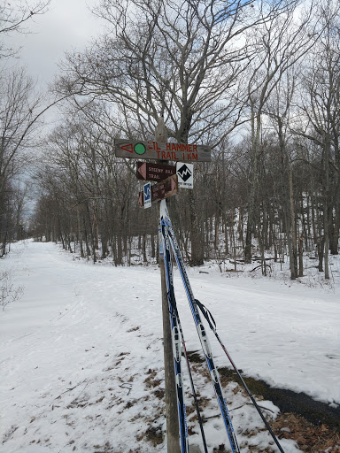Ski Resort «High Point Cross Country Ski Center», reviews and photos, 1480 NJ-23, Sussex, NJ 07461, USA