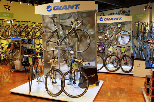 Bicycle Store «Outspokin Bicycles - Tampa», reviews and photos, 3300 S Dale Mabry Hwy, Tampa, FL 33629, USA