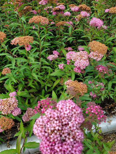 Fishing Area «Kinzua Dam», reviews and photos