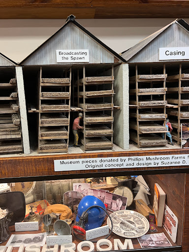 Gift Shop «The Mushroom Cap», reviews and photos, 114 W State St, Kennett Square, PA 19348, USA