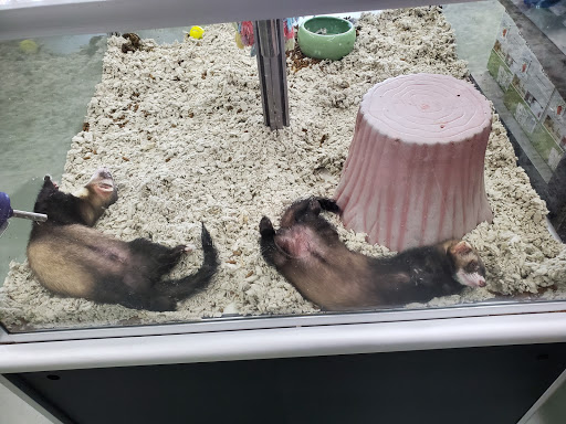 Pet Supply Store «Pet Supplies Plus», reviews and photos, 7467 St Andrews Rd, Irmo, SC 29063, USA