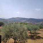 Photo n°3 de l'avis de Mario.o fait le 17/08/2020 à 21:04 sur le  Lamagia dei Sapori à Ventimiglia di Sicilia