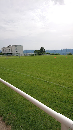 Terrain De Football De Fontainemelon - Sportstätte