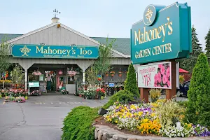 Mahoney's Garden Center - Tewksbury image