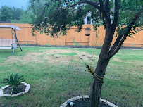 Warriors Tree Service - Photo 5 - Car repair in , Round Rock