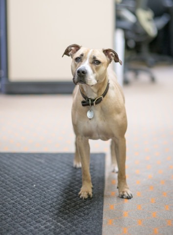 Commercial Printer «Minuteman Press Uptown», reviews and photos, 2101 Hennepin Ave # 112, Minneapolis, MN 55405, USA