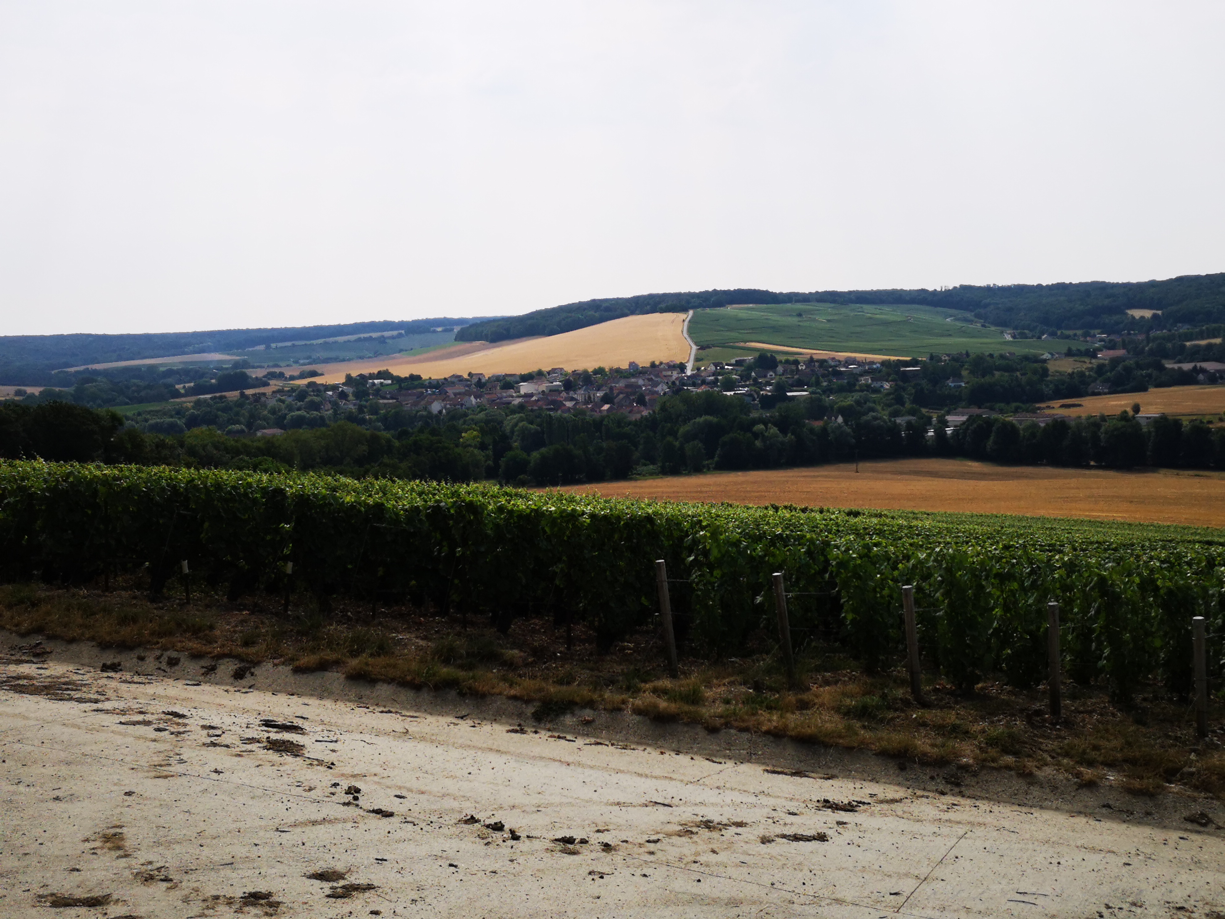 Photo n° 2 de l'avis de Isabelle.e fait le 08/07/2018 à 09:37