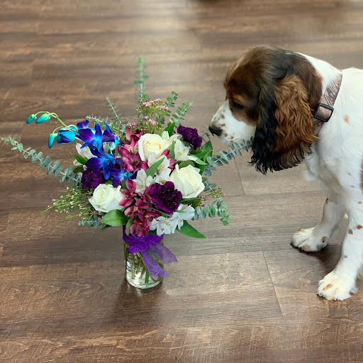 Florist «Chippewa Valley Floral», reviews and photos, 507 S Barstow St, Eau Claire, WI 54701, USA