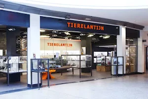 Tierelantijn image