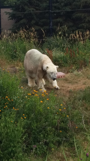 Amusement Park «Como Town», reviews and photos, 1301 Midway Pkwy, St Paul, MN 55103, USA