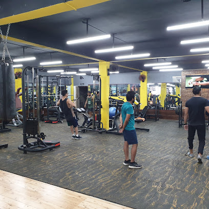 PRO FITNESS (UNISEX GYM)