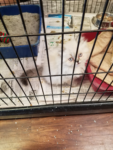 Pet Supply Store «The Village Pet Shoppe, LLC», reviews and photos, 1150 Carlisle St, Hanover, PA 17331, USA