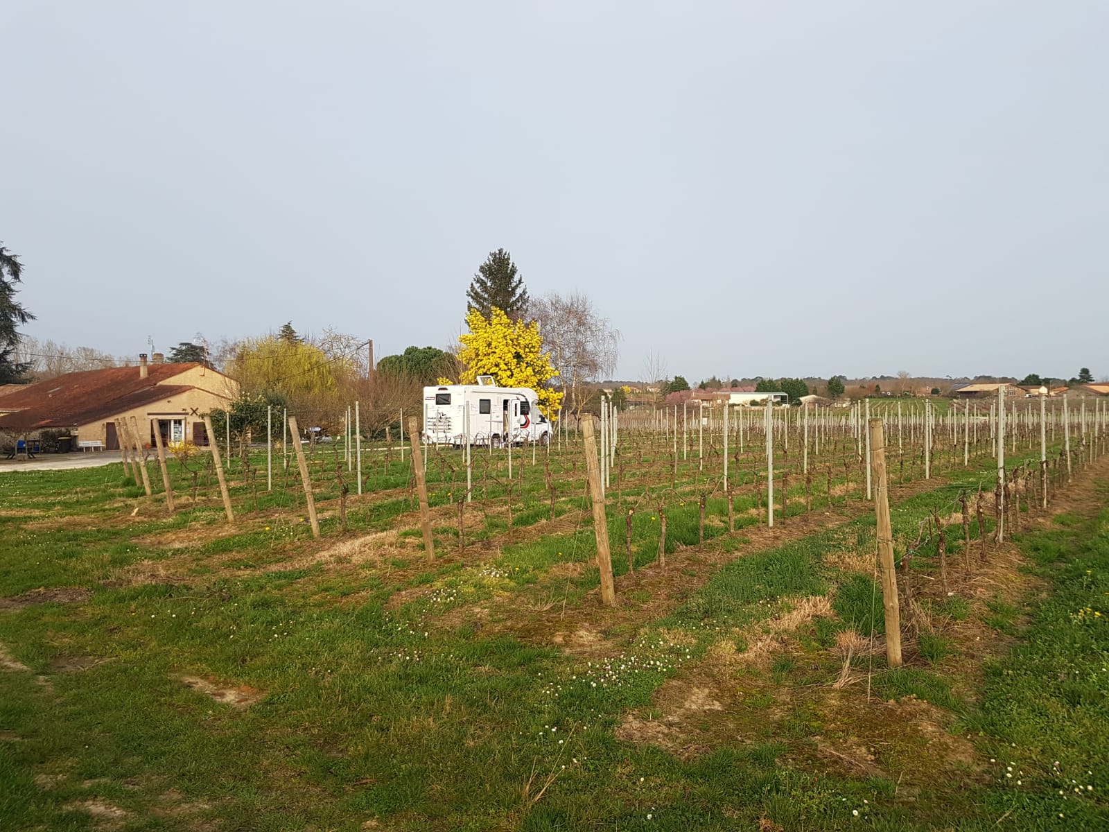 Photo n° 2 de l'avis de Mélanie.a fait le 27/02/2021 à 10:49