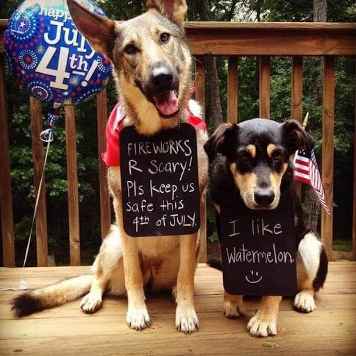 Cherokee Animal Care Clinic image