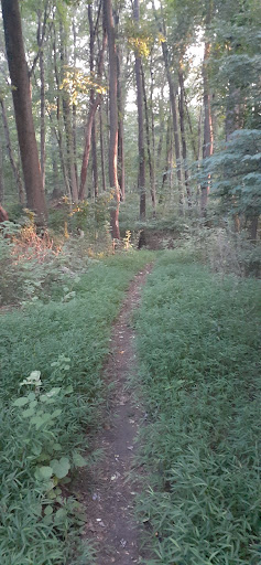 Shopping Mall «Brandywine Commons II», reviews and photos, 1300 Rocky Run Pkwy, Wilmington, DE 19803, USA