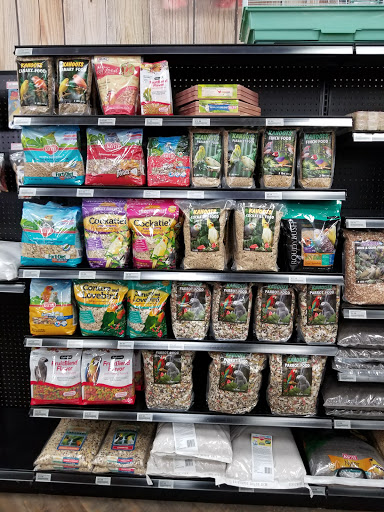 Pet Supply Store «Kahoots Pet Store», reviews and photos, 2895 Jamacha Road, El Cajon, CA 92019, USA