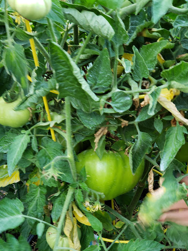 Health Food Store «Vineyard Grocer», reviews and photos, 294 State Rd, Vineyard Haven, MA 02568, USA