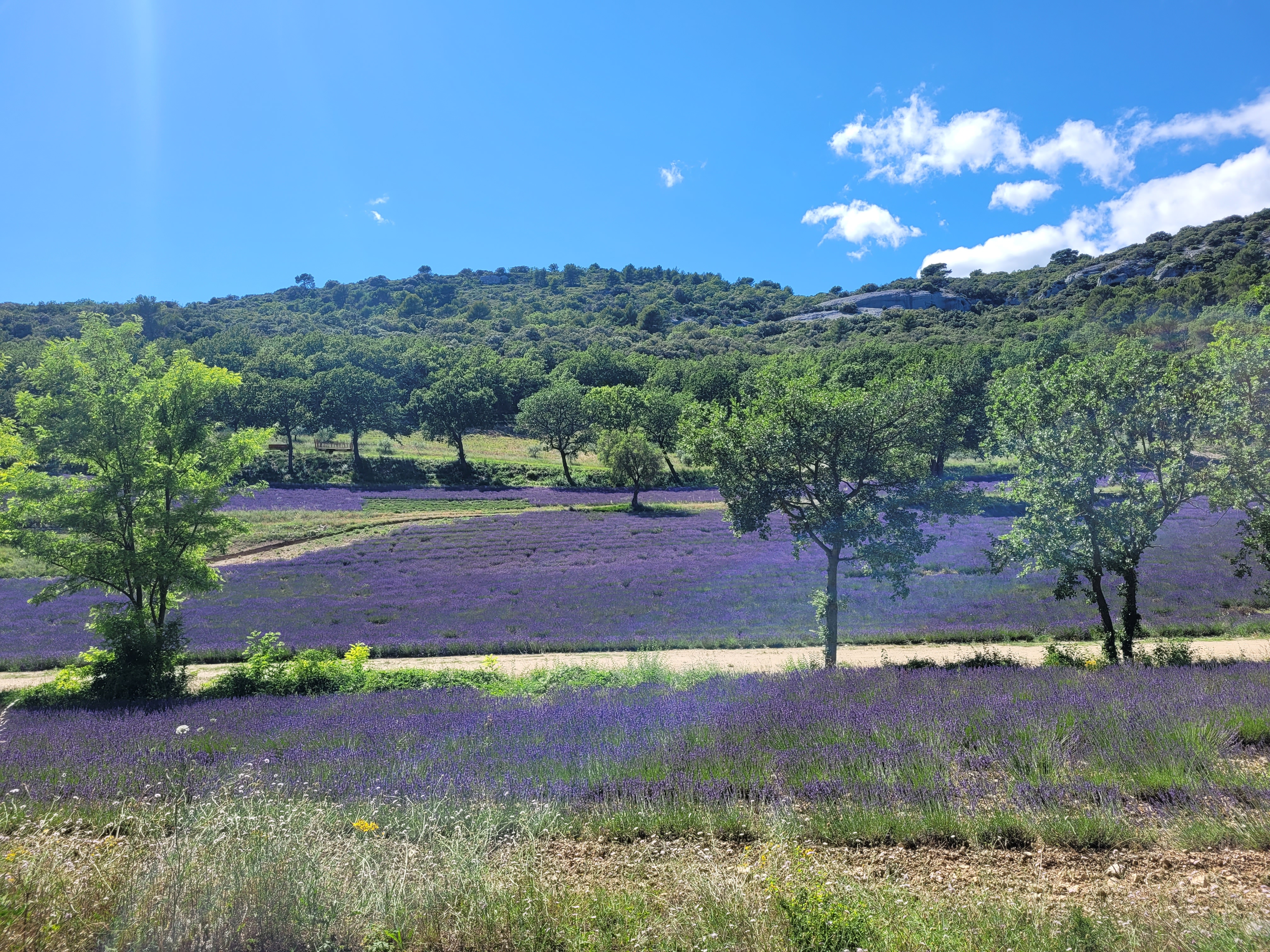 Photo n° 9 de l'avis de Olga.e fait le 07/07/2023 à 14:21